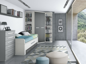 Doble cama con armario y librerias